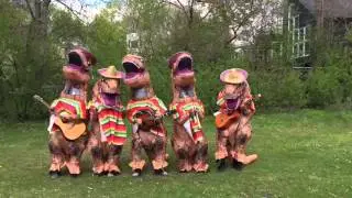Cinco de T-rex...Plus Tacos