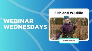 Webinar Wednesdays - Fish and Wildlife Technician Information Session