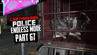 Day 264 | Fakes Getting Better | ENDLESS | Contraband Police