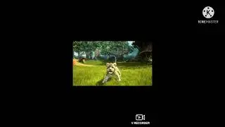 What Did You Think About My Excellent Zoo Trick?.