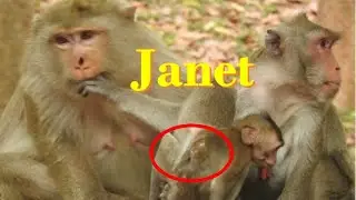 Briana monkey Bite Janet monkey's Hand and Janet Very Hurt