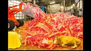 Como a GELATINA ROYAL é fabricada  – incrível, colorida e cheia de QUÍMICA INDUSTRIAL