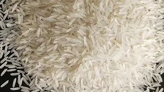 Long Basmati Rice 🌾 Eating 🍚 paper/Rice 🌾 Eating 🍚 Paper/Eating 🍚🍚/Rice 🌾 Rice 🌾 Rice/Rice Lovers 💕