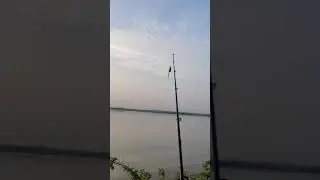 Snakehead Fishing Spot Morning Fishing 🎣🐟🇮🇳 #snakehead #fishing #bijapur  #karnataka #india