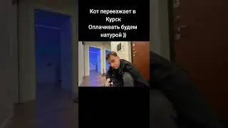 #кишкисквад