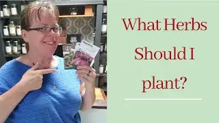 New To Gardening, What Herbal Seeds Should I Plant? Gardening Tips for new Gardener