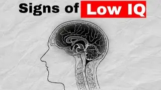 Inside The Mind Of a Low IQ