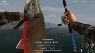 Fishing planet unique Dolly Warden