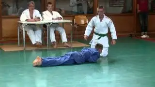 Sariel's blue belt Judo exam