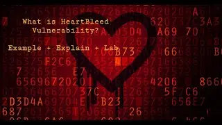 Heartbleed Vulnerability Example-Explain in Detail-Lab