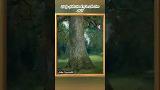 Lukisan Naturalisme Jhon Constable #art #galery #lukisan #inspirasi