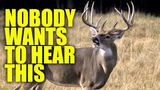The Truth about EHD & CWD according to The National Deer Alliance: Which is Worse?