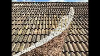 Skyline Adjusters Write it Right Series Concrete S Tile Repair