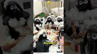 Незабываемый розыгрыш с раскраской овец 😂