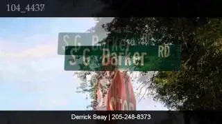 460 SG BARKER RD, Nauvoo, AL 35578