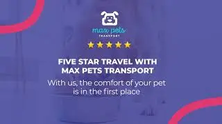 Five Star Travel With Max Pets Transport