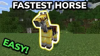 HOW TO GET THE FASTEST HORSE in Minecraft Bedrock (MCPE/Xbox/PS4/Nintendo Switch/PC)