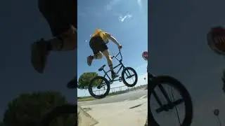 WTP 2024 BEST CLIPS