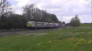 EU-Taurus 1116 276, 