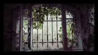 Urbex  la jungle Les monstres 🌱 plantes