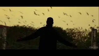 Pullinangal 2.0 || BIRDS ANTHEM || SONG RECREATION / SAVE BIRD'S.