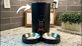 Best Automatic Cat Feeder In 2026? | WOPET Automatic Cat Feeder Review