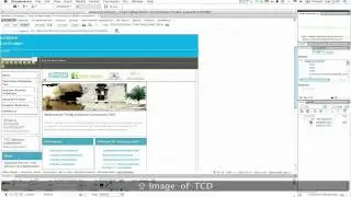 Web Accessibility - Alt Text and Long Descriptions