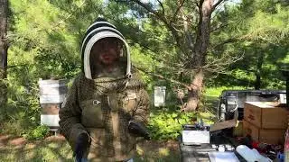 Второй этап тестирования UBeeO в Stevens Bee Co.