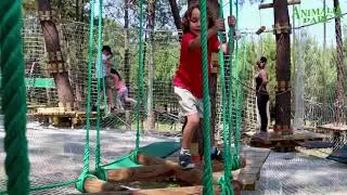 Accrobranche Animalia
