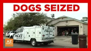 Dozens of dogs removed from Peoria home; police say stems from prior animal related case