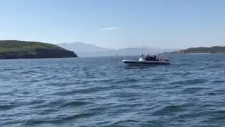 Ribride Dolphins, Puffin Island