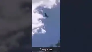 Flying horse meme