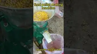 Poultry Feed Pellet Making Machine | Turn Raw Materials into High-Quality Pellets Fast!
