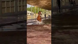 UAE, Al Ain equestrian shooting and golf club #dubai #uae #2022 #shorts