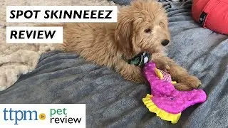 Spot Skinneeez Extreme Octopus, Turtle, Stingray, Fish, and Seahorse Dog Toys from Ethical Products