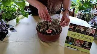 Indoor Fairy Garden Maintenance