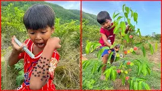 Survival Skills: SMART idea and USEFUL with single mom in forest #buschraft #camping #outdoors #idea