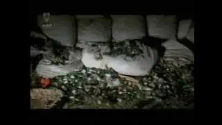 برنامج التقرير الأمني (النسخة العربية) الحلقة 13 Bahrain#