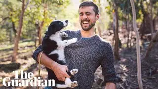 Operation Owl-Dog launches after crowdfunding to save rare Tasmanian owl