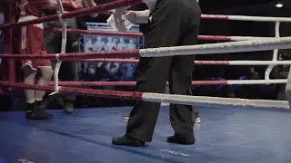 Boxer In His Corner Stock Video