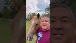 Happy Friday! Rodeo Dad Joke with Firefly! [RDJ 7] #dadjokes #horse #dadhumor