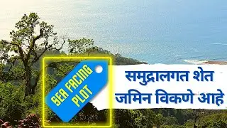 sea view land konkan | sea view agriculture land | beach touch land in kokan | sea view land kokan |