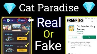 Cat Paradise Real Or Fake - Cat Paradise Free Fire - Cat Paradise Game Review