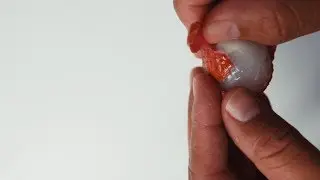 LYCHEE E-Juice