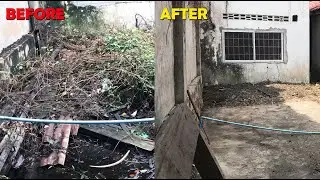Reviving the Backyard After 3 Years. Amazing Transform.