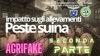 PESTE SUINA. IMPATTO SUGLI ALLEVAMENTI DI SUINI (parte 2)