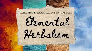 Elemental Herbalism | Exploring the Language of Nature, Self, Disharmony, and Healing