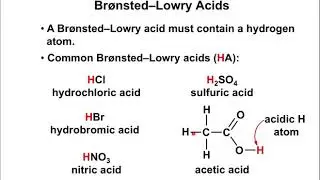 Chapter 8.1 - Acids and Bases