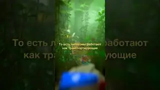 Почему мы часто рекомендуем липосомальные средства? Ответ в описании 💫