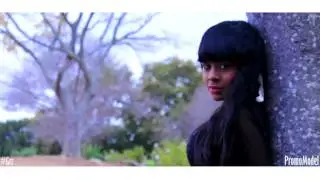 Split Diamond Productions - PromoModel